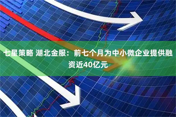 七星策略 湖北金服：前七个月为中小微企业提供融资近40亿元