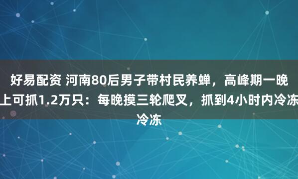 好易配资 河南80后男子带村民养蝉,高峰期一晚上可抓1.2万只:每晚摸三轮爬叉,抓到4小时内冷冻